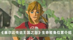 《塞爾達傳說王國之淚》生命鮭魚位置介紹