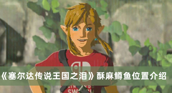 《塞爾達(dá)傳說王國之淚》酥麻鱒魚位置介紹