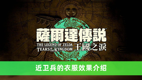 《塞爾達傳說王國之淚》近衛兵的衣服效果介紹