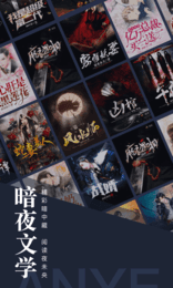 暗夜文學app截圖1