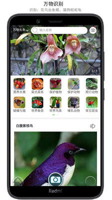 萬物識別截圖2