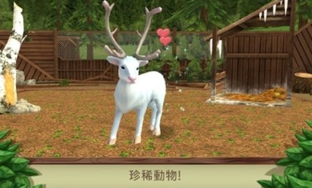 野生動物之美國破解版截圖3