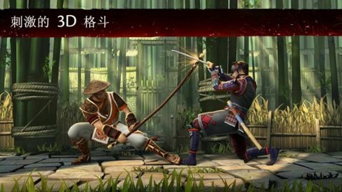 暗影格斗3破解版截圖2