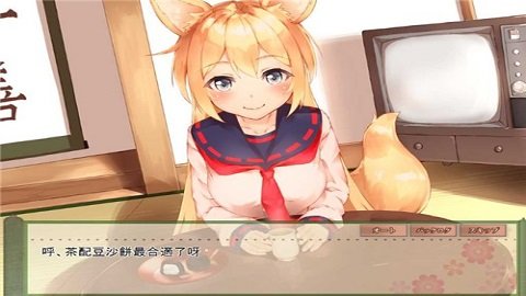 我與空狐的日常截圖3