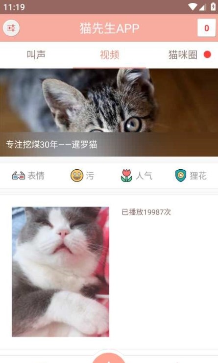 博貓管家養寵截圖2